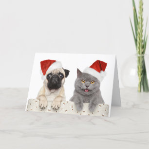 Tarjeta Festiva Perro Y Gato En Gorra De Navidades Rojos