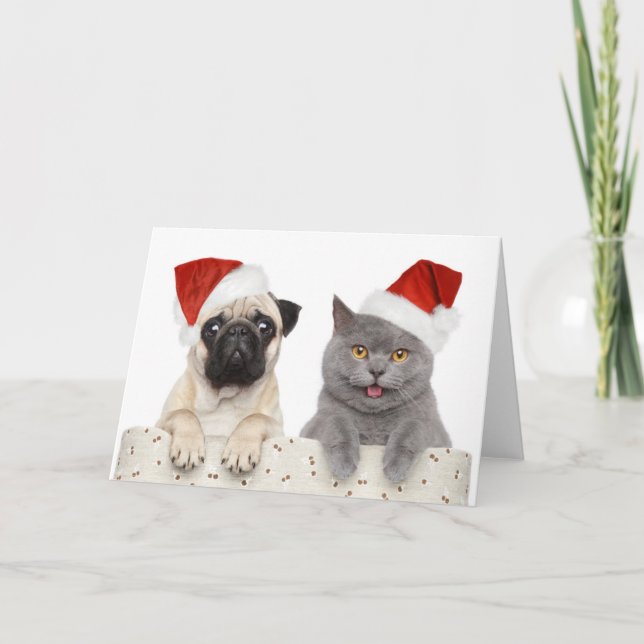 Tarjeta Festiva Perro Y Gato En Gorra De Navidades Rojos (Anverso)