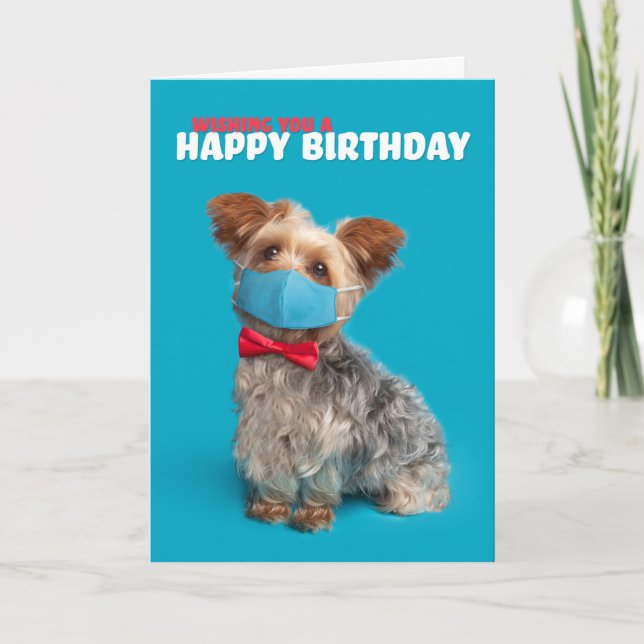 Tarjeta Festiva Perro yorkie feliz cumpleaños en la máscara facial (Anverso)