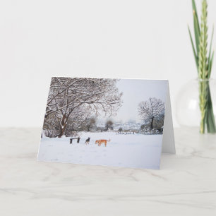 Tarjeta Festiva perros árboles cubiertos de nieve paisaje invernal