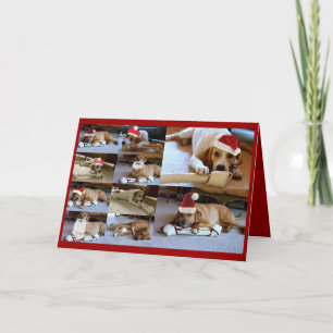 Tarjeta Festiva perros de Laura