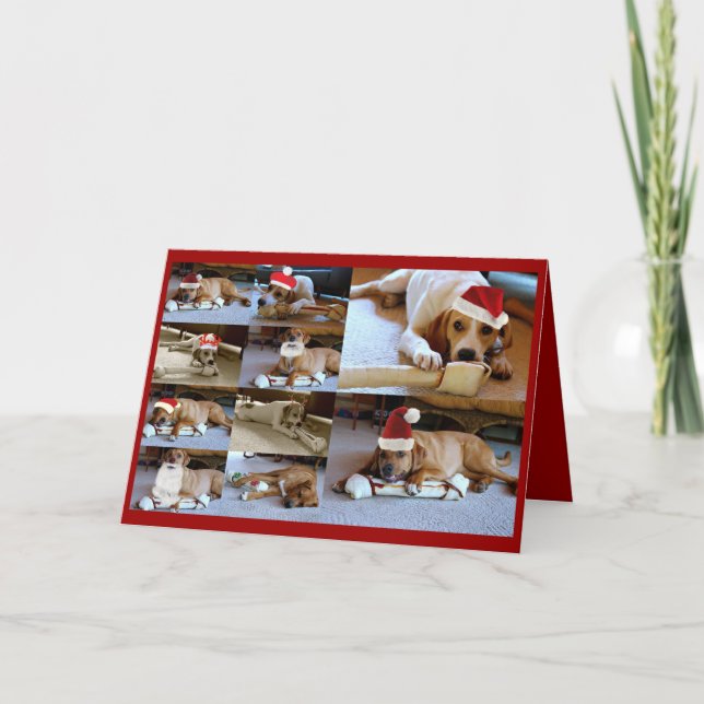 Tarjeta Festiva perros de Laura (Anverso)