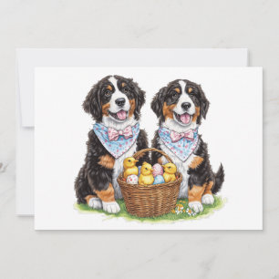 Tarjeta Festiva Perros de montaña de la Semana Santa Bernesa