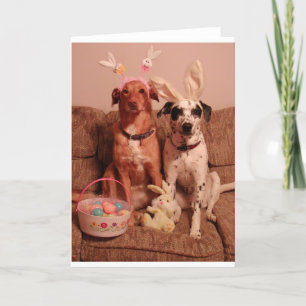 Tarjeta Festiva Perros de Pascua