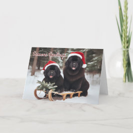 Tarjeta Festiva Perros de Terranova en una carta de Navidades de t