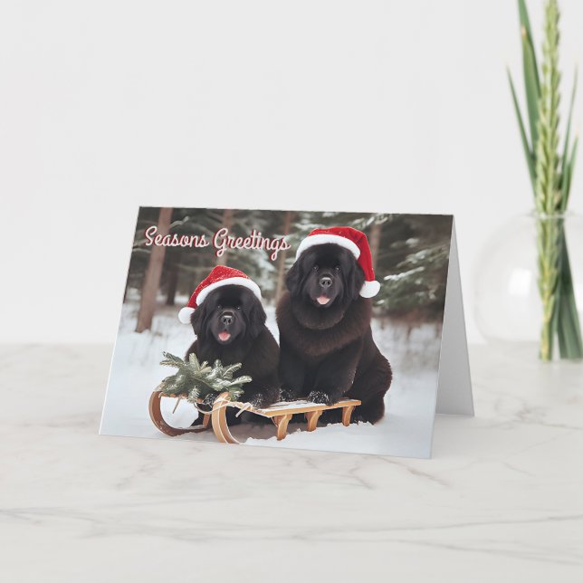 Tarjeta Festiva Perros de Terranova en una carta de Navidades de t (Anverso)