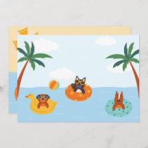 Perros de verano en la playa