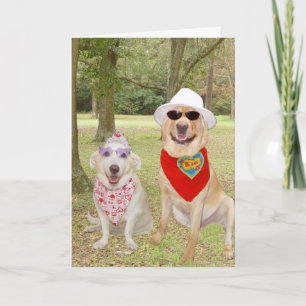 Tarjeta Festiva Perros divertidos adaptables