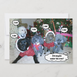 Tarjeta Festiva Perros divertidos ayudan a regar el árbol de Navid