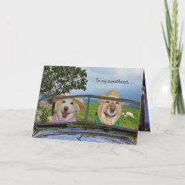 Tarjeta Festiva Perros divertidos Valentine para el amor