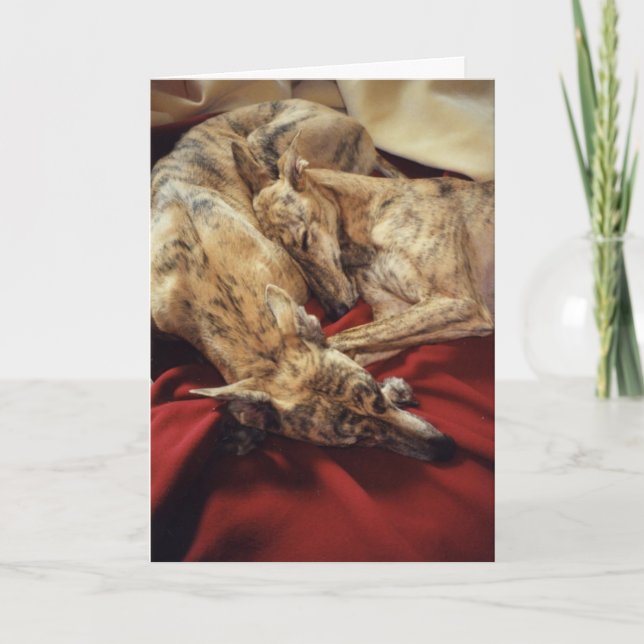 Tarjeta Festiva Perros el dormir (Anverso)