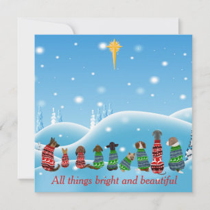 Tarjeta Festiva Perros en sudorosos Estrella religiosa Todo lo Ani
