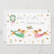 Perros felices de Dachshund a los que amo