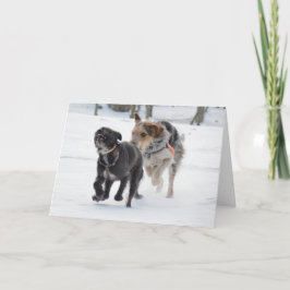 Tarjeta Festiva Perros jugando en Navidades de nieve