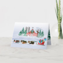 Perros marrones, negros y grises, saltando a Sleig