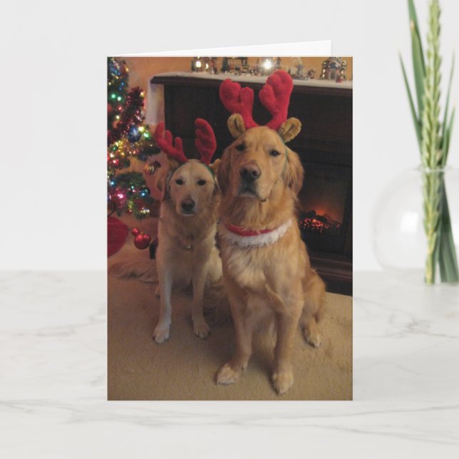 Tarjeta Festiva Perros renos (Anverso)