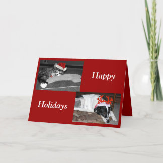 Tarjeta Festiva perros y gatos