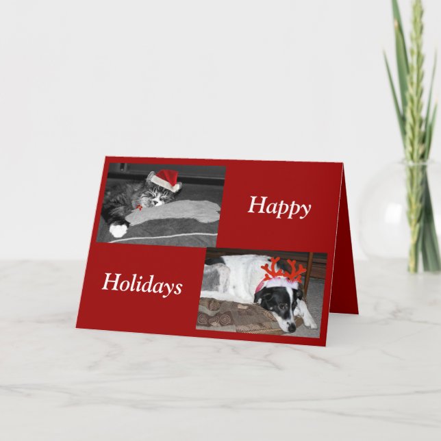 Tarjeta Festiva perros y gatos (Anverso)