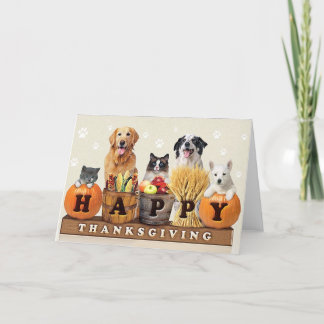 Tarjeta Festiva Perros y gatos del Día de Acción de Gracias