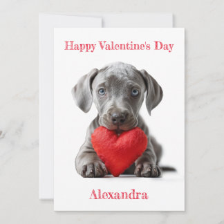 Tarjeta Festiva Personalice a Weimaraner Puppy Valentine