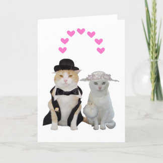 Tarjeta Festiva Personalizable Gracioso, Bonitos Gats Valentine