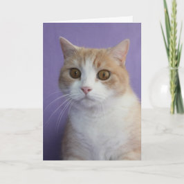 Tarjeta Festiva Personalizable Gracioso Gato/Kitty Valentine