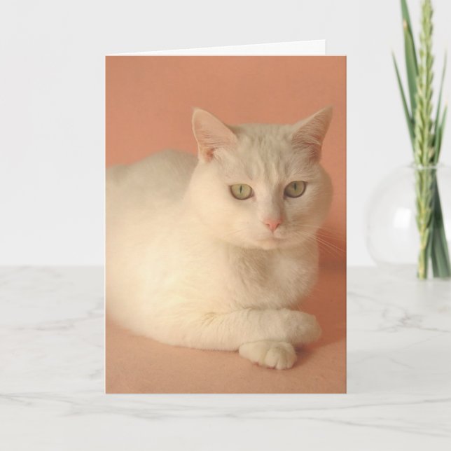 Tarjeta Festiva Personalizable Valentine Cats (Anverso)