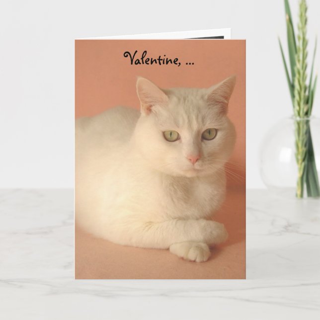 Tarjeta Festiva Personalizable Valentine Cats (Anverso)
