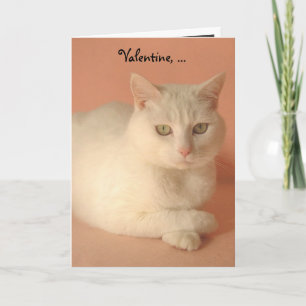 Tarjeta Festiva Personalizable Valentine Cats
