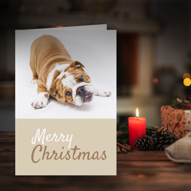 Tarjeta Festiva Personalizado de Navidades de fotografía de Bulldo (Subido por el creador)