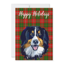 Personalizado de perro acuático de montaña de Bern