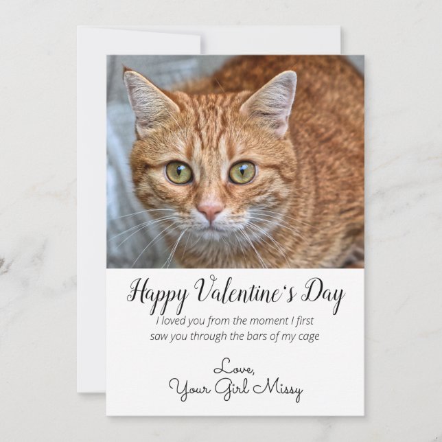 Tarjeta Festiva Personalizado el día de San Valentín Foto de gato (Anverso)
