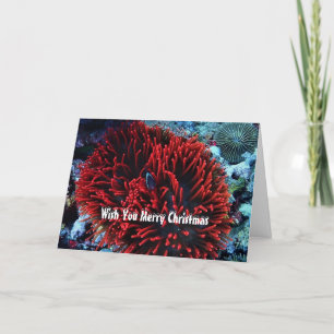Tarjeta Festiva Pescado de anémona roja y anémona