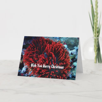 Tarjeta Festiva Pescado de anémona roja y anémona