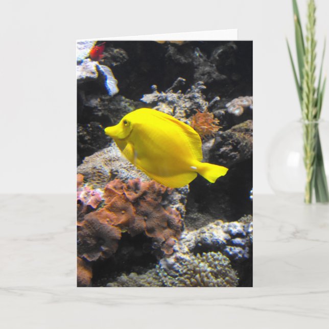 Tarjeta Festiva Pescado de Tang amarillo (Anverso)