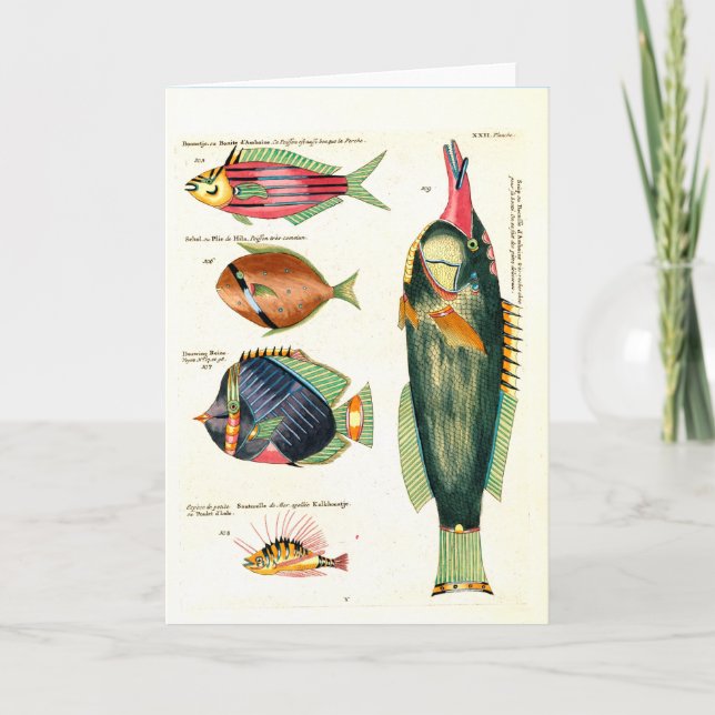 Tarjeta Festiva Pescado verde y amigos (Anverso)