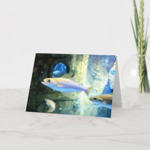 Tarjeta Festiva Pescado y buey