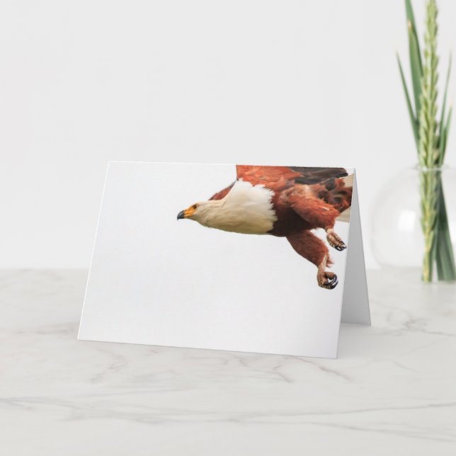 Tarjeta Festiva Pescados Eagle africanos en vuelo (Anverso)