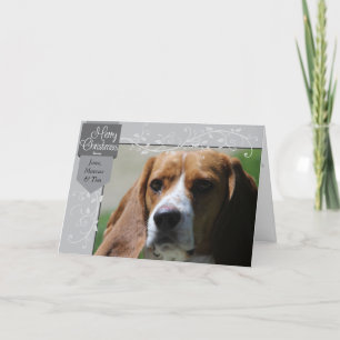 Tarjeta Festiva Pestaña plateada y Navidades florecientes Foto