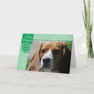 Tarjeta Festiva Pestaña verde y Navidades florecientes Foto