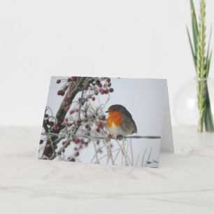 Tarjeta Festiva Petirrojo del invierno