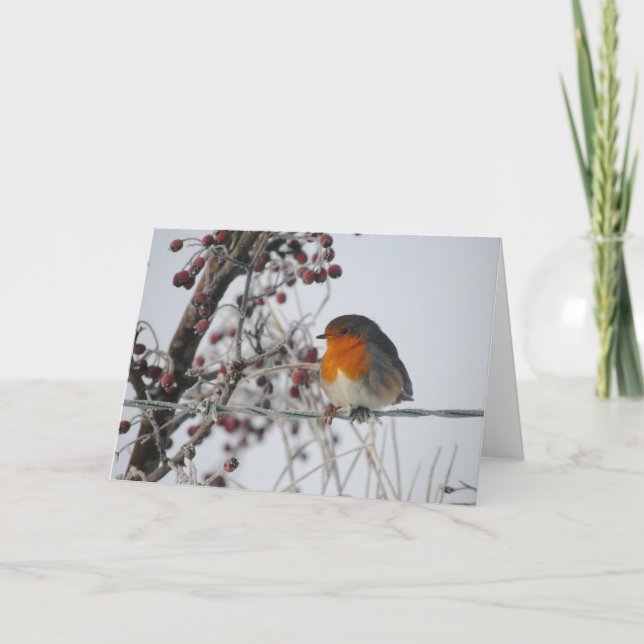 Tarjeta Festiva Petirrojo del invierno (Anverso)