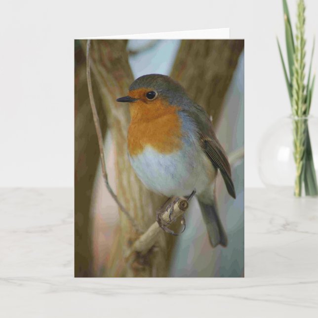 Tarjeta Festiva Petirrojo Redbreast (Anverso)