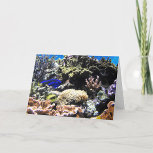 Tarjeta Festiva Pez Tang real entre los corales
