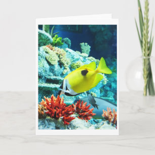 Tarjeta Festiva Pez tropical Tang