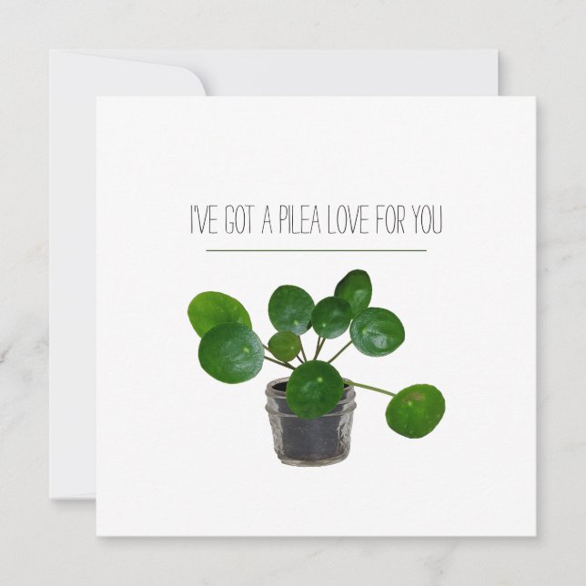 Tarjeta Festiva Pilea Sweet Plant Pun Valentine (Anverso)