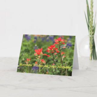 Tarjeta Festiva Pincel Indio Vivid