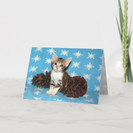 Tarjeta Festiva Pinecones de invierno de Tippy - Navidades gatos/g