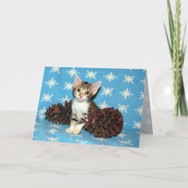 Tarjeta Festiva Pinecones de invierno de Tippy - Navidades gatos/g (Anverso)