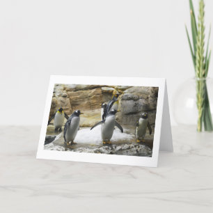 Tarjeta Festiva Pingüinos